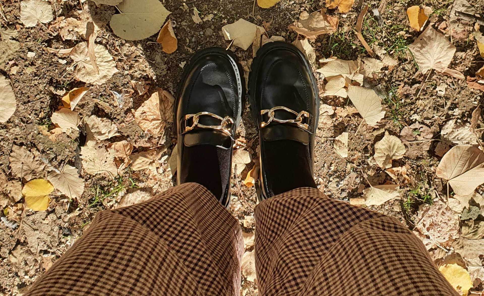 Loafers in autumn